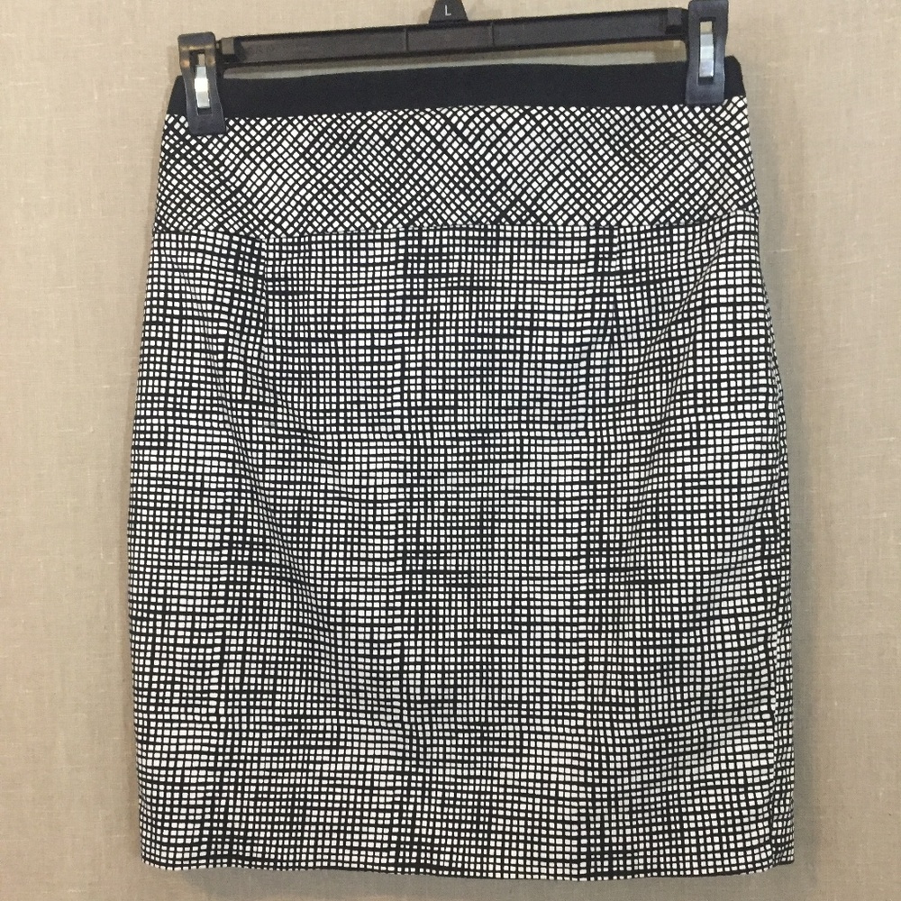 Express Pencil Skirt
